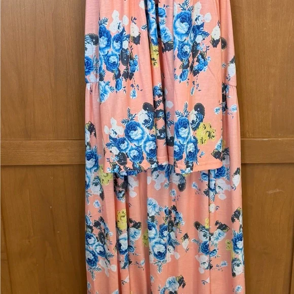 Mommy & Me XL & 2Y Floral Pink Maxi Dress with Blue Rose Print - Picture 3 of 5